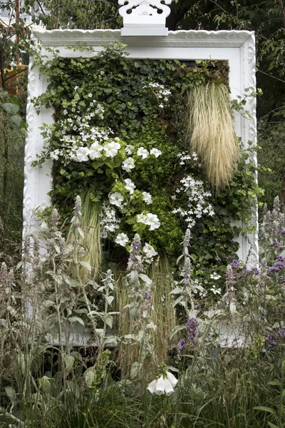 Vertical flowerbed with grass, petunia and ivy new landscape solution — Stock Photo, Image