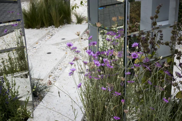 Blue dried flowers as flowerbed decoration near a white granite walkway. — Stock Photo, Image