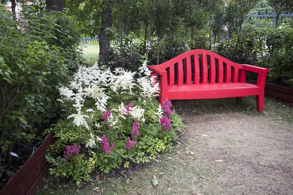 Le banc rouge dans le jardin entouré de hautes plantes rouges . — Photo