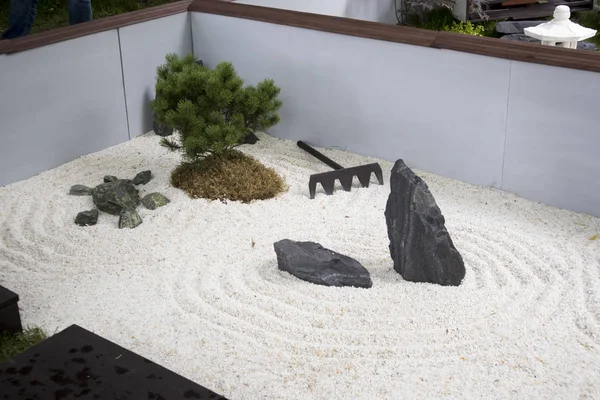 The Japanese garden with ikebana, sand and rake — Stock Photo, Image