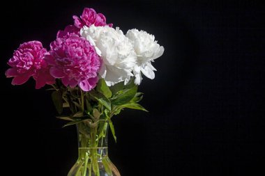 karanlık bir arka planda şeffaf bir vazo beyaz ve kırmızı şakayık buket