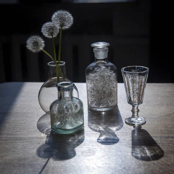 Löwenzahn in transparenter Vase gegen die Sonne — Stockfoto