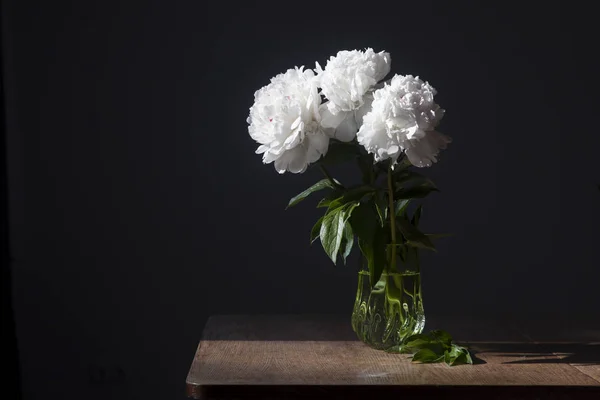 Strauß weißer Pfingstrosen in einer transparenten Vase auf dunklem Hintergrund — Stockfoto