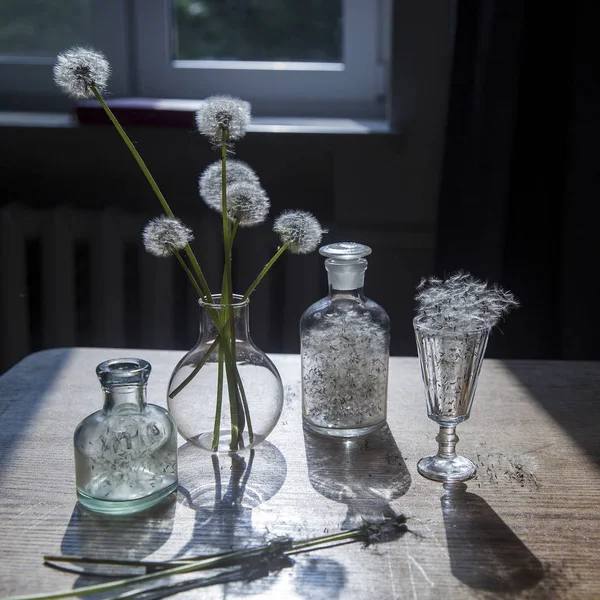 Pissenlits dans un vase transparent contre le soleil — Photo