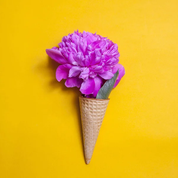 Cono de gofre con una gran peonía rosa sobre fondo amarillo. Diseño creativo para papel pintado pastel . — Foto de Stock