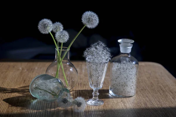 Güneşte karşı şeffaf vazo Dandelions — Stok fotoğraf