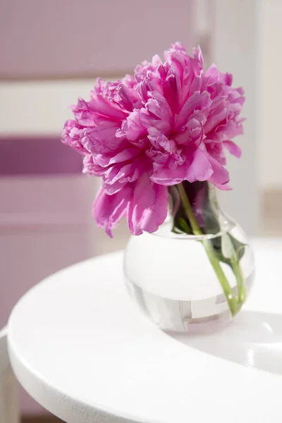 Boeket van rode Pioenen in een vaas staat op een witte stoel in het interieur — Stockfoto