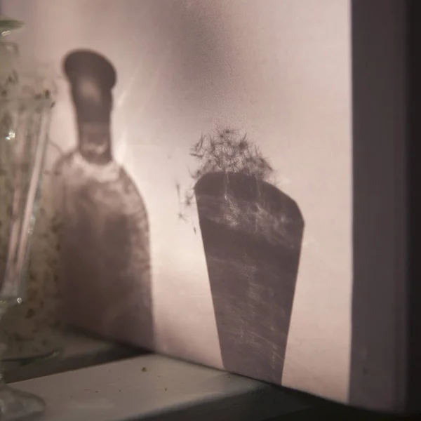 Löwenzahn in transparenter Vase gegen die Sonne — Stockfoto