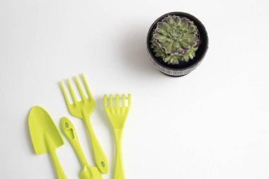 masada toprak ve bahçe aletleri ile Sulu