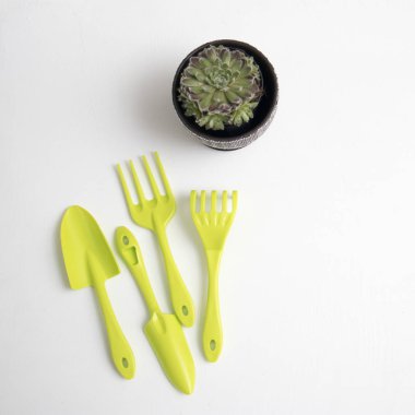 masada toprak ve bahçe aletleri ile Sulu