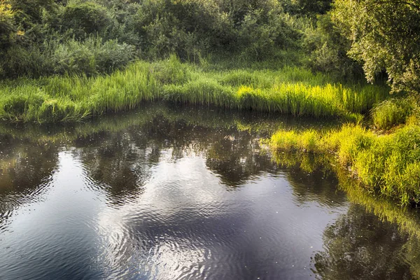 ベレベルキ村近くのポリスト川、ポドルスキー県、ノヴゴロド地方. — ストック写真