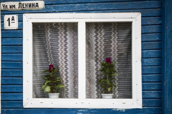 Ventanas talladas con cortinas de tul y juguetes y macetas en el alféizar de la ventana en el pueblo ruso —  Fotos de Stock