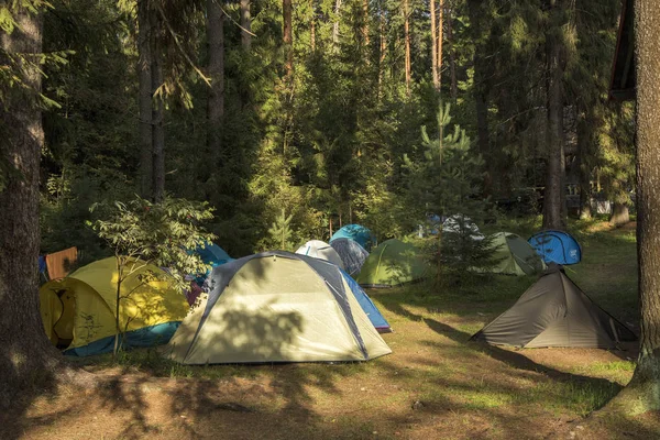 호수에 숲에서 캠프장. 자연의 화려한 텐트. 캠핑. 클로즈업. 배경. 풍경. — 스톡 사진