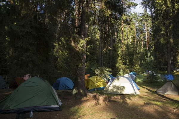 露营地在湖边的森林里。大自然中五颜六色的帐篷。露营。特写。背景。景观. — 图库照片