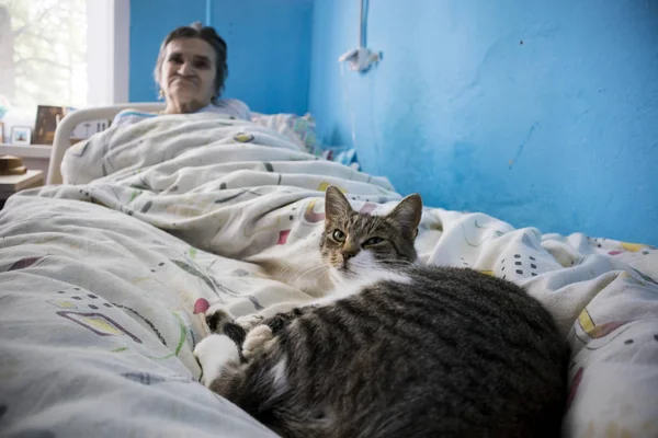 Abuela en la cama con un gato en un asilo — Foto de Stock