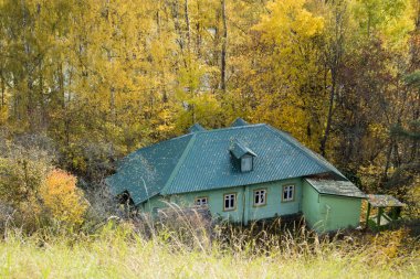 Rusya, Plyos - Ekim 04, 2019: Ivanovo Bölgesi. Volga nehrinin arka planında parlak sarı sonbahar ormanı. Katedral Dağı 'nın yüksekliğinden. Sonbahar güneşli bir günde Varvara kilisesi ve renkli evler.