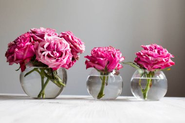 Şeffaf cam yuvarlak vazolarda kırmızı Terry Gülleri gri arkaplanda bir düğün masasının süsü olarak dururlar. Olay