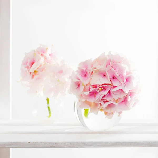 Bollformad Rosa Hortensia Rund Glasvas För Ett Gratulationskort Vit Bakgrund — Stockfoto