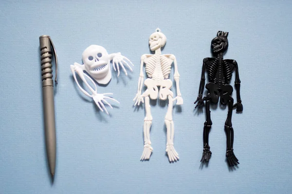Halloween decoration set: Skeletons, flies, spiders, beetles, skulls on a light blue background. Space for text