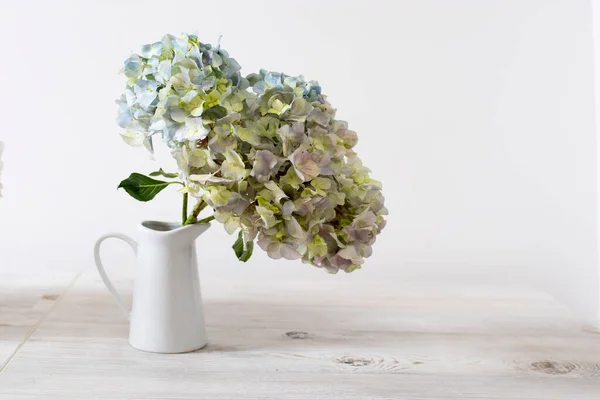 Large Branch Green Blue Pastel Hydrangea White Jug Beige Table — Stock Photo, Image