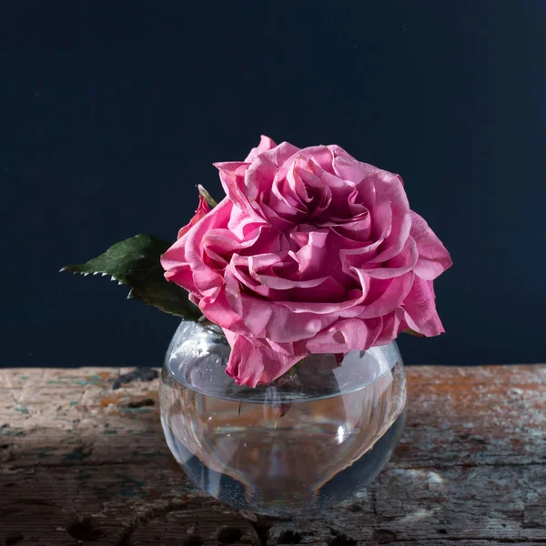 red terry roses in transparent glass round vases stand in a row as a decoration of a wedding table on dark blue background. Event