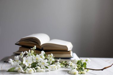 Çiçek açan bir elma ağacının dalı ya da açık bir kitap üzerinde kiraz ağacı ve gri bir duvarın arka planında bir fincan kahve. Kavram - çevrimiçi öğrenme. Uzayı kopyala Eğitim çevrimiçi