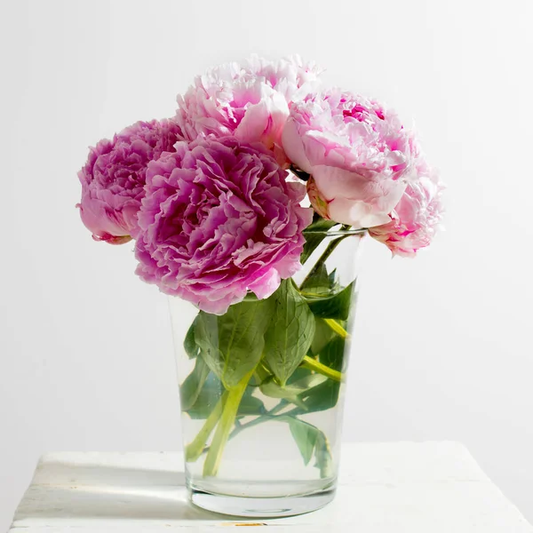 Розовые Пионы Букет Стеклянной Вазе Крупным Планом Весенние Цветы День — стоковое фото