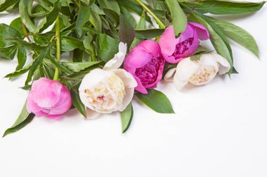 Pembe şakayıklar buketi yakın plan, Anneler Günü için bahar çiçekleri açık beyaz ahşap arka plan. Düğün organizasyonları ve diğer tatiller. Düz yatıyordu.