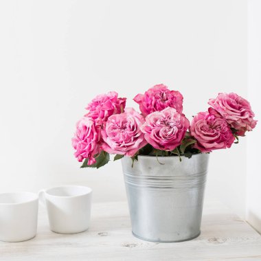 Beyaz arka planda bardakları olan teneke bir kovada kırmızı güller. Boşluğu kopyala