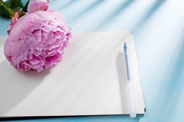 Üç taze çiçek açan pembe şakayık beyaz bir defterin üzerinde yatıyor. Mesaj için yer var. Liste yapmak için. Eğitici kavram