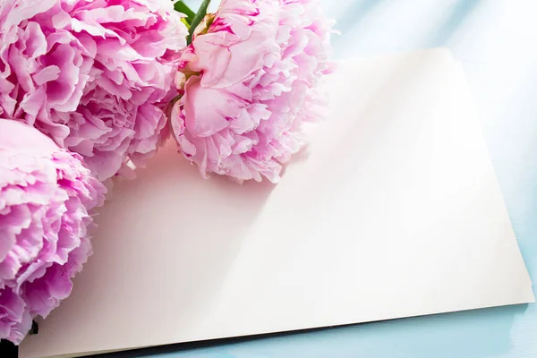 Tre Färska Blommande Rosa Pioner Ligger Vit Öppen Anteckningsbok Utrymme — Stockfoto