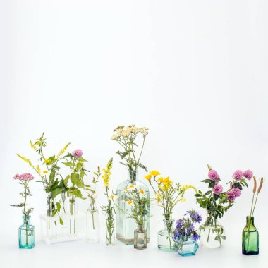 Dekorasyon olarak beyaz-gri arka planda farklı şekillerde yabani otlar. Kart, beyaz arka planda bitkilerle birlikte gerekli yağ şişesi