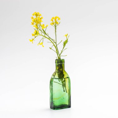 Çiçeklerin kusursuz arkaplanı ve yeşil şişede hardal bırakıyor. Beyazda izole edilmiş.