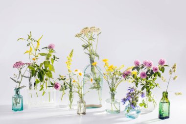 Dekorasyon olarak beyaz-gri arka planda farklı şekillerde yabani otlar. Kart, beyaz arka planda bitkilerle birlikte gerekli yağ şişesi