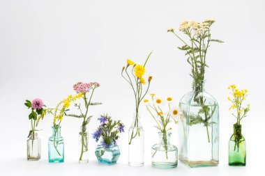 Dekorasyon olarak beyaz-gri arka planda farklı şekillerde yabani otlar. Kart, beyaz arka planda bitkilerle birlikte gerekli yağ şişesi