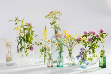 Dekorasyon olarak beyaz-gri arka planda farklı şekillerde yabani otlar. Kart, beyaz arka planda bitkilerle birlikte gerekli yağ şişesi