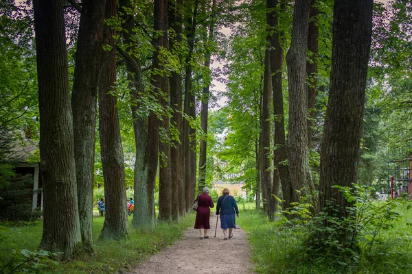 Pereslawl Salesskij Russland Juli 2020 Zwei Ältere Frauen Gehen Die — Stockfoto