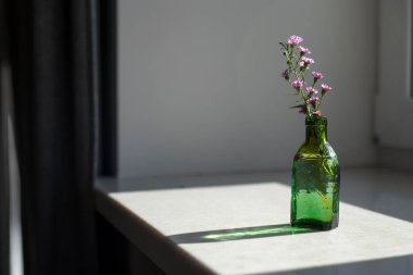 Ahşap bankta yeşil şişe içinde bir demet menekşe.