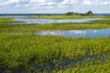 Rybinsk rezervuarı, Mologa nehri ile Molozhsky Körfezi 'nin kesiştiği noktada bulunan Tver bölgesinin en kuzeyindeki Vesyegonsk bölgesinde.
