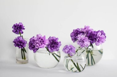 Masa süsü olarak farklı boyutlarda dört yuvarlak cam vazolarda leylak karanfiller.