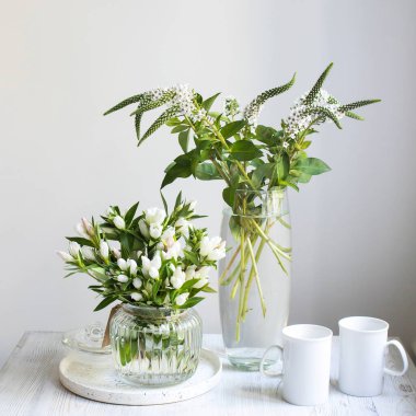 Gentiana lutea, Orta ve Güney Avrupa 'nın dağlarında yetişen bir tür. Beyazda izole edilmiş