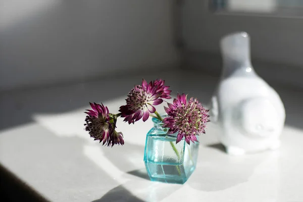 Bouquet Purple Astrantia Small Bottle Green Glasses Figurine White Bird — Stock Photo, Image