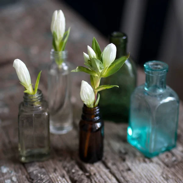 Beyaz Gentiana Lutea buketi desenli ahşap bir yüzey üzerinde küçük cam bir vazoda iç dekorasyon olarak duruyor.