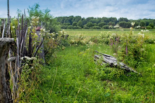 Russisch Landschap Met Een Rieten Hek Keramische Potten Een Rieten — Stockfoto