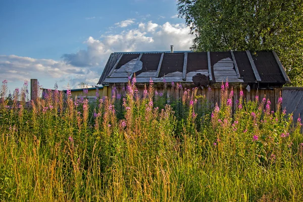 Övergiven Lada Överväxt Med Snår Vilt Växande Gräs Nära Ett — Stockfoto