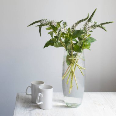 Beyaz arka planda gri bir masada, uzun, dar bir vazoda beyaz ziller bulunan bir buket beyaz Veronica. İki beyaz bardak..