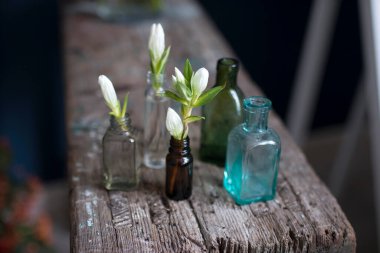 Beyaz Gentiana Lutea buketi desenli ahşap bir yüzey üzerinde küçük cam bir vazoda iç dekorasyon olarak duruyor.