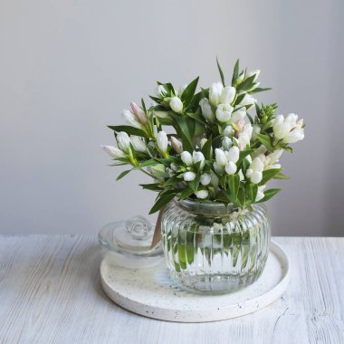 Gentiana lutea, Orta ve Güney Avrupa 'nın dağlarında yetişen bir tür. Beyazda izole edilmiş