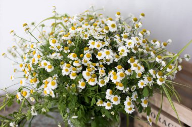 Mutfak dekorasyonu. Eski püskü bir bankta yabani papatya yetiştiren bir vazo ve kitaplarla dolu kap kacak depolamak için bir kutu..