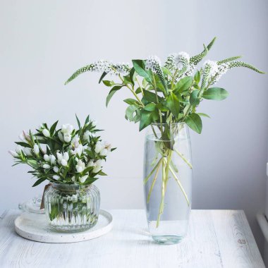 Gentiana lutea, Orta ve Güney Avrupa 'nın dağlarında yetişen bir tür. Beyazda izole edilmiş